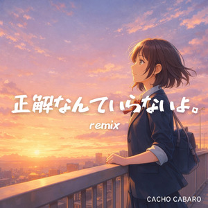 正解なんていらないよ。 (Remix)