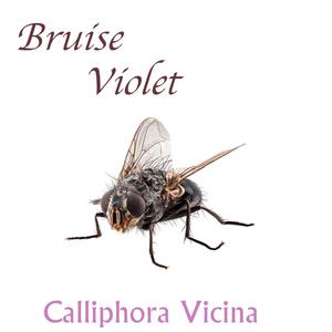 Truth in the Miniskirt