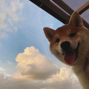 想睡个好觉