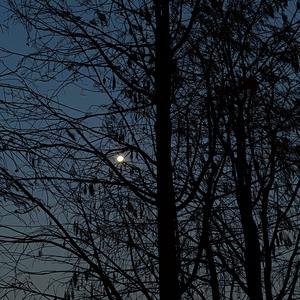 如果时光真的能够倒流（prod .RAY&SAVANT）