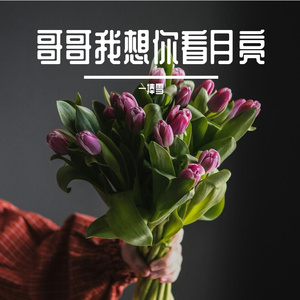 哥哥我想你看月亮（欢快版） 伴奏