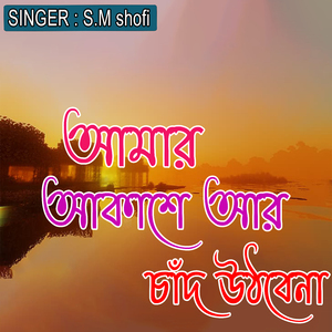 আমার আকাশে আর চাঁদ উঠবেনা