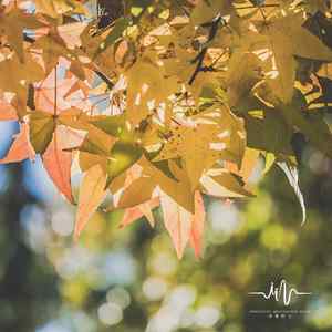 晚风飘 (扬琴曲)