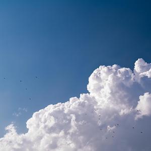 【Free】晴天娃娃