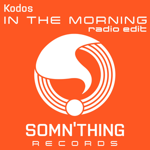 In the Morning (Radio Edit)