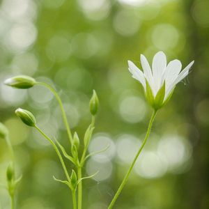 醉江南（原创钢琴曲）