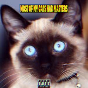 MOST OF MY CATS HAD MASTERS (feat. Ramzey)