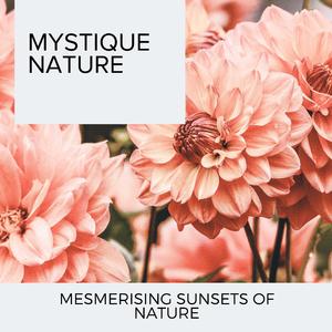 Rain By The Waterfalls