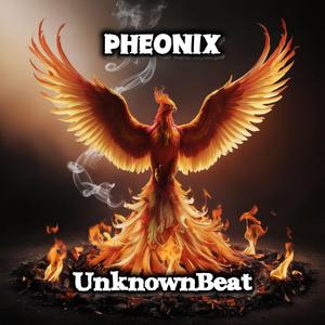 Pheonix