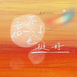 忘不了也挺好