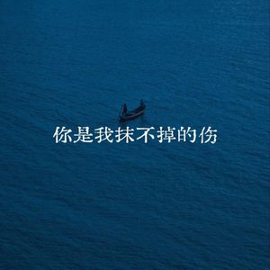 你是我抹不掉的伤