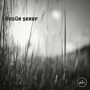 Karpuz Kestim Sulandı