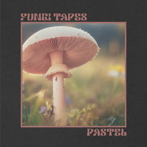 Pastel