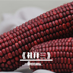 雨  是一生错过 ，雨是  悲欢离合。