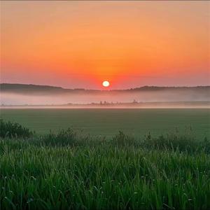 释放多巴胺气息