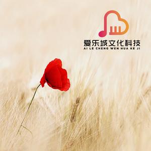 洪湖水浪打浪 (笛子独奏)