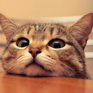 贝加尔湖畔的你钢琴曲