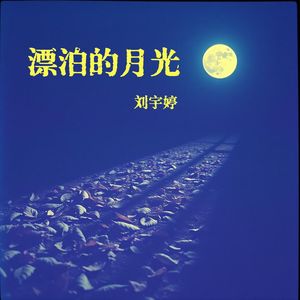 漂泊的月光