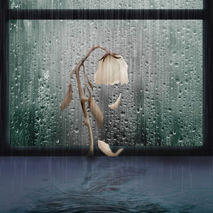 Rainy Night (Feat. HARLYN (할린))