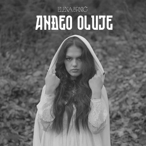Anđeo oluje