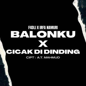 Balonku X Cicak Di Dinding