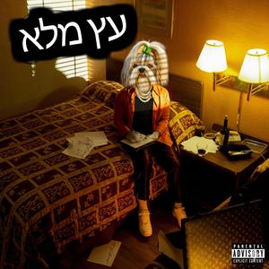 עץ מלא
