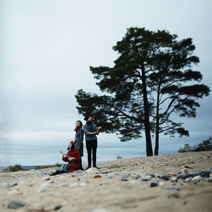 Летели птицы