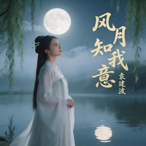 风月知我意