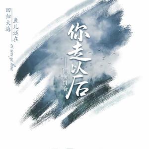 你走以后
