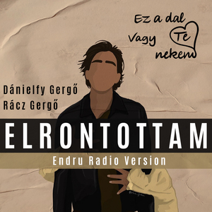 Elrontottam (Endru Radio Version - Endru)