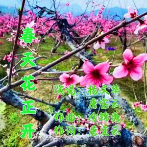 春天花正开