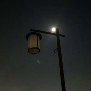 天真且浪漫 demo