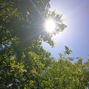 星空（纯音乐）