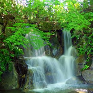 A Tale From The Forest Creeks (White Noise Lullaby)