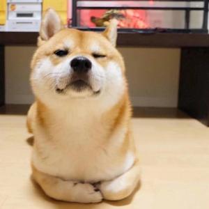 如果我变成回忆（coverTank）