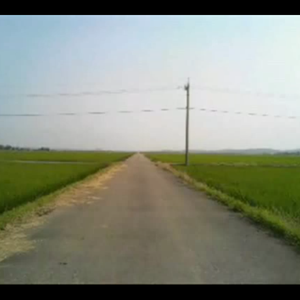 没