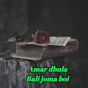 Amar dhulabali joma boi