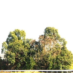 let me going out to here