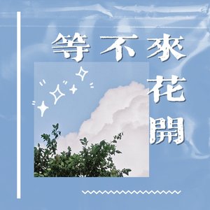 等不来花开