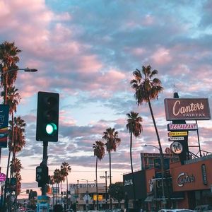 《城市之光与青春颂歌》