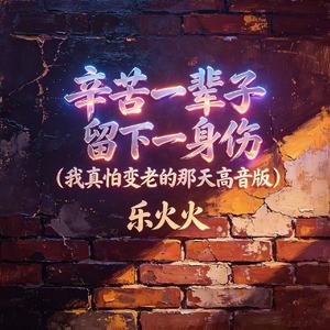 辛苦一辈子 留下一身伤(我真怕变老的那天高音版)
