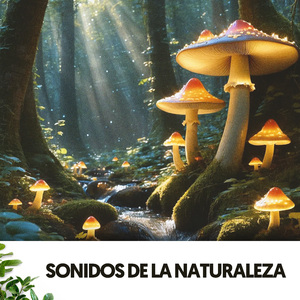 Serenata del dosel celestial