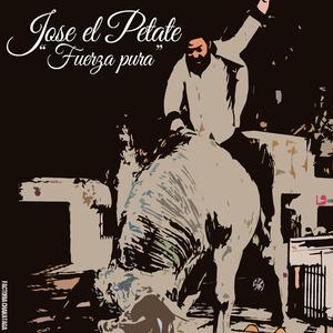 Fuerza pura