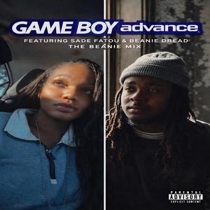 Gameboy Advance Beanie Mix