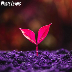 Fun Moods for Coffee at Night