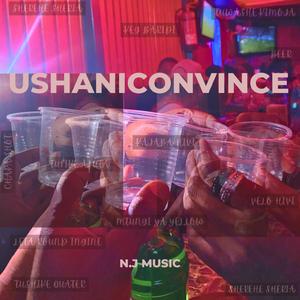 Ushaniconvince(Parari) (Radio Edit)