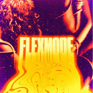 FlexMode (Prod. Vue)