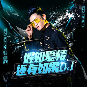 假如爱情还有如果 (DJ版)