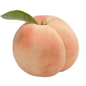 古风曲编20220423 旋律(1)