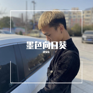 墨色向日葵Demo